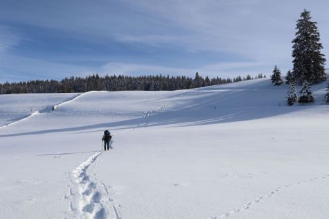 Jura, Province de Soria, Soria, Castilla y Leon, Espagne, Randonnées, Voyages, Chiloe, Raquettes à neige, Trekking, Pyrénées, Massif Central, Lozère, Margeride, Aragon, Laponie, Finlande, Malte, Islande, Astronomie, Aurores boréales