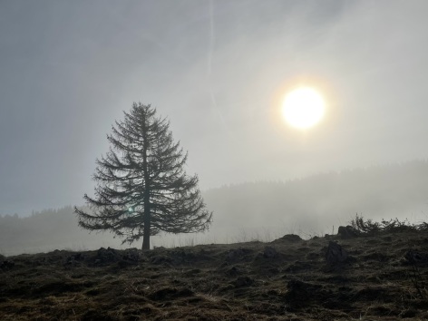 Jura, Province de Soria, Soria, Castilla y Leon, Espagne, Randonnées, Voyages, Chiloe, Raquettes à neige, Trekking, Pyrénées, Massif Central, Lozère, Margeride, Aragon, Laponie, Finlande, Malte, Islande, Astronomie, Aurores boréales