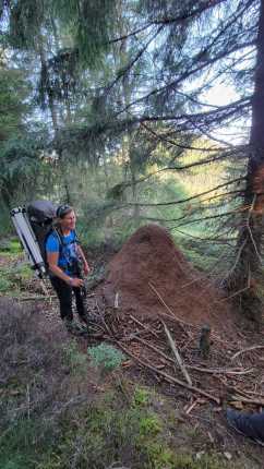 Chiloe Voyages Randonnées Séjours Astronomie Raquettes à neige Pyrénées Islande Laponie Finlande Jura Morvan Touraine Soria Espagne