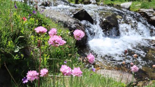 Chiloe Voyages Randonnées Séjours Astronomie Raquettes à neige Pyrénées Islande Laponie Finlande Jura Morvan Touraine Soria Espagne Lozère